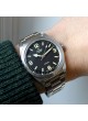 Tudor Ranger 79950