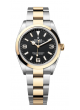 Rolex Explorer 1 124273