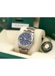 Rolex Oyster Perpetual NEW 2023 36 126000