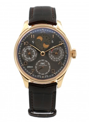  Perpetual Calendar IW503404