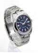 Rolex Oyster Perpetual 41 mm 124300