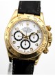 Rolex Daytona Zenith Inverted 6 16518