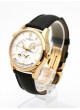 Jaeger-Lecoultre Master Control Geographic 18k Q1422421