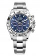 Rolex Daytona 116509