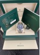 Rolex Oyster Perpetual 124300