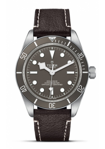 Tudor Black Bay 58 Silver 925 79010SG